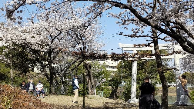 活動報告：久々の外出です。